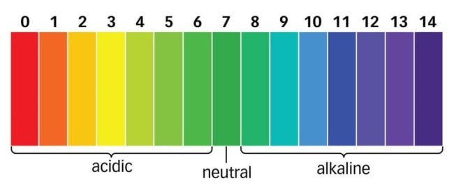 What is a pH Meter? Know About Principle, Types & Internal Diagram 4 ph scale indicator 2