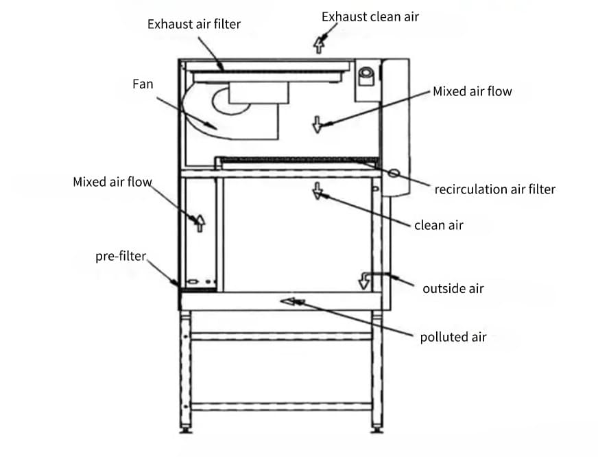 Class II Biosafety Cabinet Guide: Types, Price, Range and Safe Lab Practices