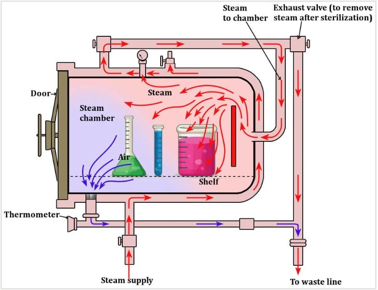 Everything You Need to Know About Laboratory Autoclaves from Principles to Costs 7 autoclave diagram
