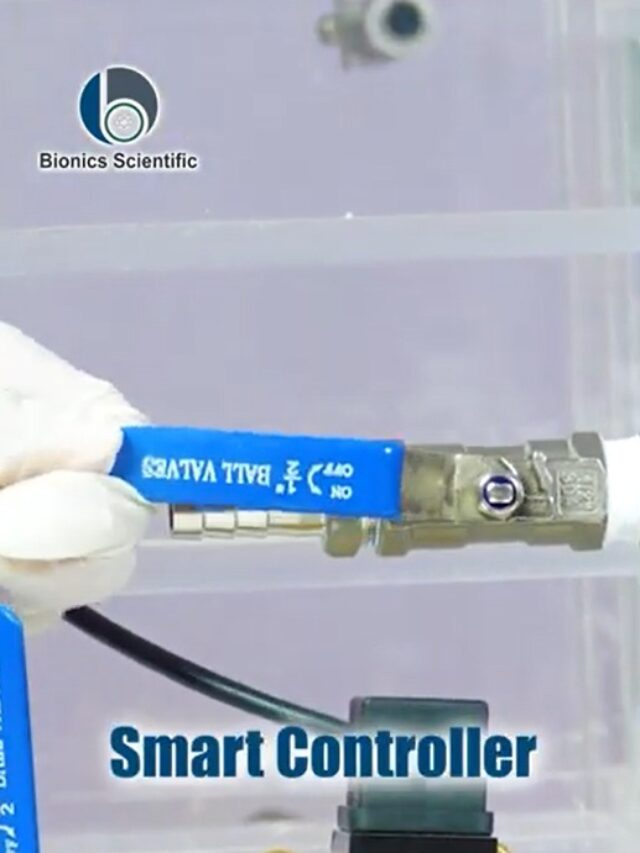 cropped-image-10.jpg