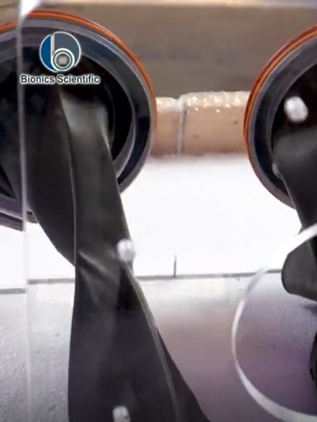 cropped-image-11.jpg